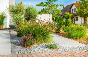 Canicule, moustiques, restrictions : le jardin sec comme argument de vente immobilière ? été 2025 juillet aout 2025- Canicule, moustiques, restrictions le jardin sec comme argument de vente immobilière