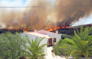 Retraite au Portugal, la désillusion : canicule, feux, moustiques… et fin d’exonération fiscale au Portugal, ces retraités fuient moustiques, canicule et feux meurtriers