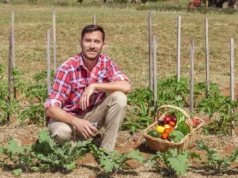 Pourquoi un beau potager peut désormais valoir plus qu’une piscine ? Pourquoi-un-beau-potager-peut-désormais-valoir-plus-qu’une-piscine