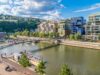 Confluence : quand l’ancien port industriel refait surface… avec ses rongeurs Confluence quand l’ancien port industriel refait surface… avec ses rongeurs